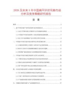 2026及未来5年中国扁平环状吊索市场分析及竞争策略研究报告