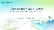水电水利规划设计总院：中国可再生能源发展报告2025年度