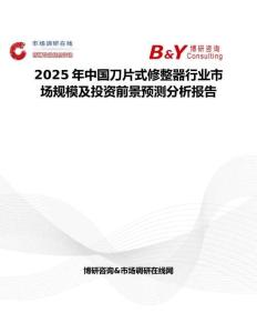 2025年中国刀片式修整器行业市场规模及投资前景预测分析报告