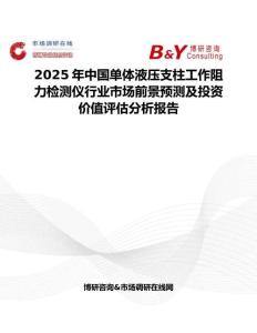 2025年中國(guó)單體液壓支柱工作阻力檢測(cè)儀行業(yè)市場(chǎng)前景預(yù)測(cè)及投資價(jià)值評(píng)估分析報(bào)告