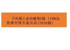 子宮頸上皮內瘤變2級（CIN2）管理中國專家共識（2026版）