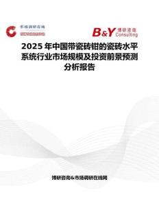 2025年中國(guó)帶瓷磚鉗的瓷磚水平系統(tǒng)行業(yè)市場(chǎng)規(guī)模及投資前景預(yù)測(cè)分析報(bào)告