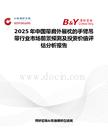 2025年中國帶肩外展枕的手臂吊帶行業市場前景預測及投資價值評估分析報告