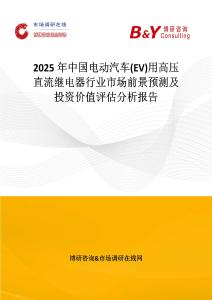 2025年中國電動汽車(EV)用高壓直流繼電器行業市場前景預測及投資價值評估分析報告