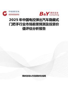 2025年中国电控弹出汽车隐藏式门把手行业市场前景预测及投资价值评估分析报告