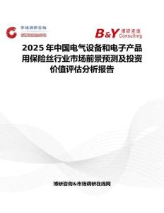 2025年中國電氣設備和電子產品用保險絲行業市場前景預測及投資價值評估分析報告