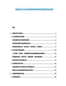金融科技行業(yè)市場(chǎng)競(jìng)爭(zhēng)格局發(fā)展機(jī)遇投資評(píng)估報(bào)告