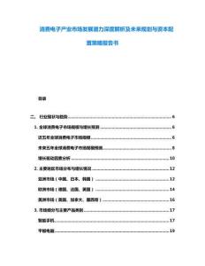 消費(fèi)電子產(chǎn)業(yè)市場(chǎng)發(fā)展?jié)摿ι疃冉馕黾拔磥?lái)規(guī)劃與資本配置策略報(bào)告書