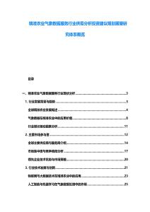 精準(zhǔn)農(nóng)業(yè)氣象數(shù)據(jù)服務(wù)行業(yè)供需分析投資建議規(guī)劃展望研究體系概覽