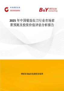 2025年中國鋸齒拉刀行業(yè)市場前景預(yù)測及投資價值評估分析報告