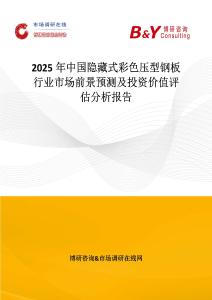 2025年中國隱藏式彩色壓型鋼板行業市場前景預測及投資價值評估分析報告