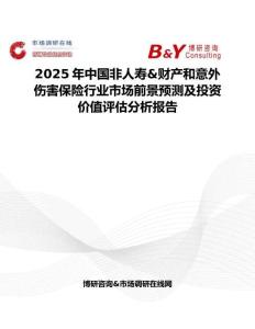 2025年中國非人壽&財產(chǎn)和意外傷害保險行業(yè)市場前景預(yù)測及投資價值評估分析報告