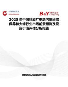 2025年中國非原廠電動汽車維修保養和大修行業市場前景預測及投資價值評估分析報告