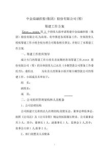公司籌建工作方案