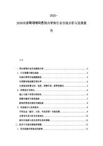 2025-2030内需확대에따른国内零售行业市场分析与发展报告