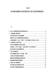 2025-2030南美能源市场发展现状分析及投资策略建议