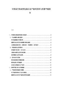 中國(guó)真空熱成型包裝行業(yè)產(chǎn)能利用率與供需平衡報(bào)告