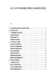 2025-2030汽车新能源技术路线与市场切换分析报告