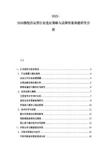 2025-2030旗舰店运营行业选址策略与品牌形象构建研究分析