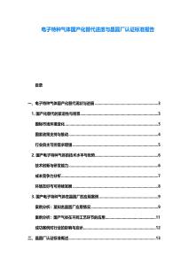 电子特种气体国产化替代进度与晶圆厂认证标准报告