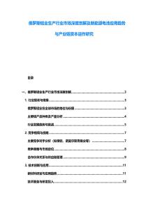 俄羅斯鋁業(yè)生產行業(yè)市場深度剖解及新能源電池應用趨勢與產業(yè)鏈資本運作研究