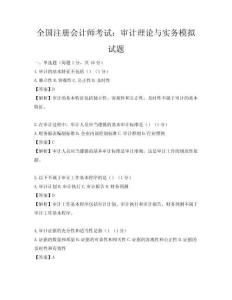 全國注冊會計師考試：審計理論與實務模擬試題
