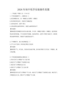 2026年初中化學實驗操作真題