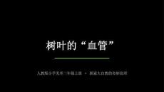 2026秋人教版小學美術二年級上冊第一單元 身邊的自然《第1課 樹葉的“血管’》教學課件（詳細版）