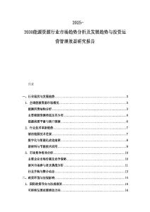 2025-2030能源資源行業市場趨勢分析及發展趨勢與投資運營管理效益研究報告
