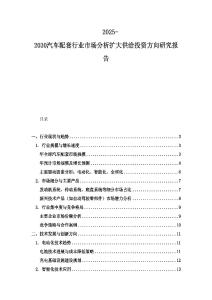 2025-2030汽車配套行業市場分析擴大供給投資方向研究報告
