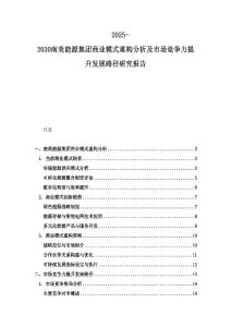2025-2030南美能源集团商业模式重构分析及市场竞争力提升发展路径研究报告