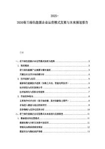 2025-2030荷兰绿色能源企业运营模式发展与未来规划报告