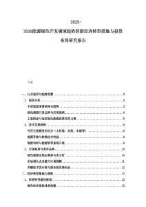 2025-2030能源绿色开发领域趋势洞察经济转型措施与投资布局研究报告