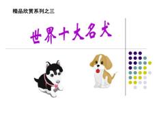 世界十大名犬【精品赏析】