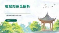枇杷知识全解析