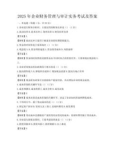 2025年企业财务管理与审计实务考试及答案