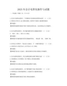2025年会计电算化操作与试题