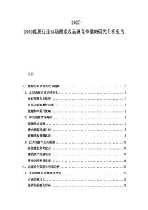 2025-2030能源行業市場需求及品牌競爭策略研究分析報告