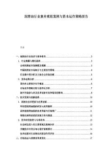 润滑油行业兼并重组案例与资本运作策略报告