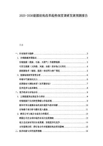 2025-2030能源结构改革趋势深度调研发展预测报告