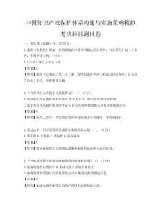 中国知识产权保护体系构建与实施策略模拟考试科目测试卷