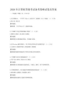 2026年计算机等级考试备考策略试卷及答案