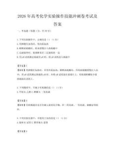 2026年高考化学实验操作技能冲刺卷考试及答案