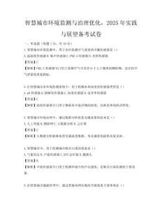 智慧城市环境监测与治理优化，2025年实践与展望备考试卷