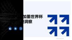2026美加墨世界杯中国球迷消费洞察