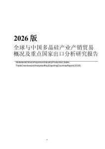 2026版全球与中国多晶硅产业产销贸易概况及重点国家出口分析研究报告