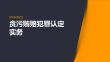 贪污贿赂犯罪认定实务