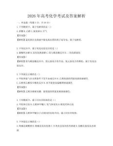 2026年高考化學(xué)考試及答案解析