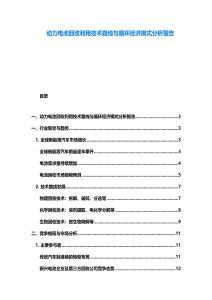 动力电池回收利用技术路线与循环经济模式分析报告