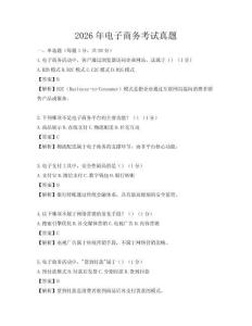 2026年電子商務考試真題